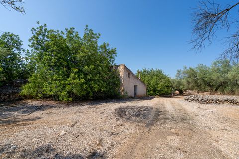 Finca a Ulldecona, Tarragona, Ulldecona - € 34.000 | Ref: 233 - foto 11