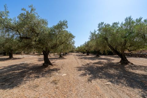 Finca a Ulldecona, Tarragona, Ulldecona - € 34.000 | Ref: 233 - foto 10
