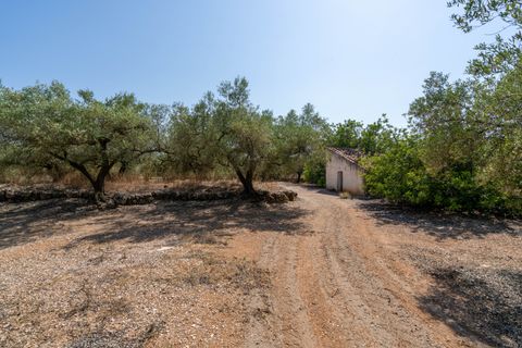Finca a Ulldecona, Tarragona, Ulldecona - € 34.000 | Ref: 233 - foto 3