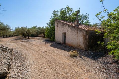 Finca a Ulldecona, Tarragona, Ulldecona - € 34.000 | Ref: 233 - foto 2