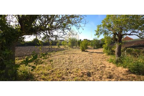 Villa i Oliveira do Bairro, Aveiro, Oliveira do Bairro - € 580.000 | Ref: VMI012025-19 - foto 11