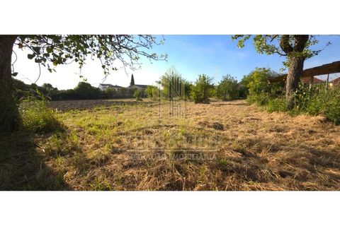 Villa i Oliveira do Bairro, Aveiro, Oliveira do Bairro - € 580.000 | Ref: VMI012025-19 - foto 12
