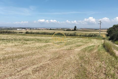 Helårsgrund i Torres Vedras, Lisbon, Torres Vedras - € 3.500.000 | Ref: ONE421719-5 - foto 4