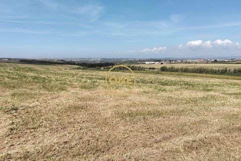 Helårsgrund i Torres Vedras, Lisbon, Torres Vedras - € 3.500.000 | Ref: ONE421719-5 - foto 6