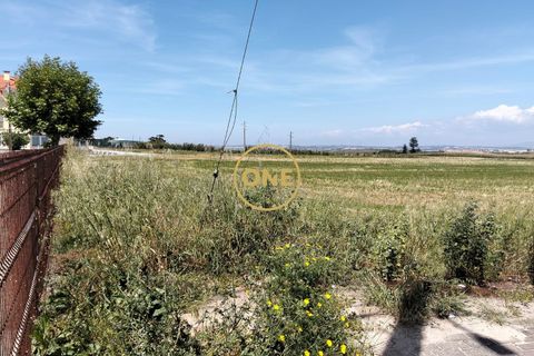Helårsgrund i Torres Vedras, Lisbon, Torres Vedras - € 3.500.000 | Ref: ONE421719-5 - foto 7