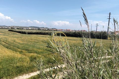 Helårsgrund i Torres Vedras, Lisbon, Torres Vedras - € 3.500.000 | Ref: ONE421719-5 - foto 10