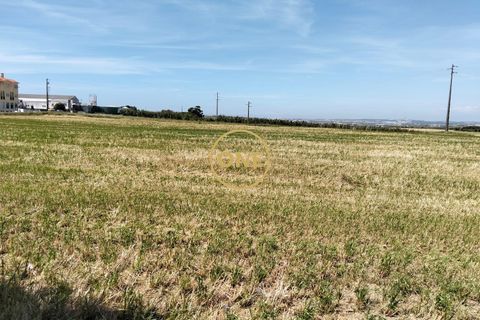 Helårsgrund i Torres Vedras, Lisbon, Torres Vedras - € 3.500.000 | Ref: ONE421719-5 - foto 12