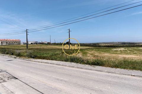 Helårsgrund i Torres Vedras, Lisbon, Torres Vedras - € 3.500.000 | Ref: ONE421719-5 - foto 13