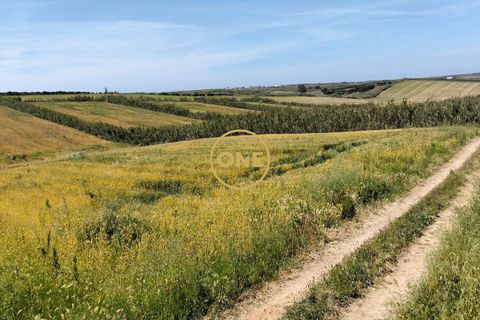 Helårsgrund i Torres Vedras, Lisbon, Torres Vedras - € 3.500.000 | Ref: ONE421719-5 - foto 15