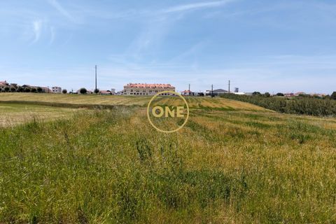 Helårsgrund i Torres Vedras, Lisbon, Torres Vedras - € 3.500.000 | Ref: ONE421719-5 - foto 18