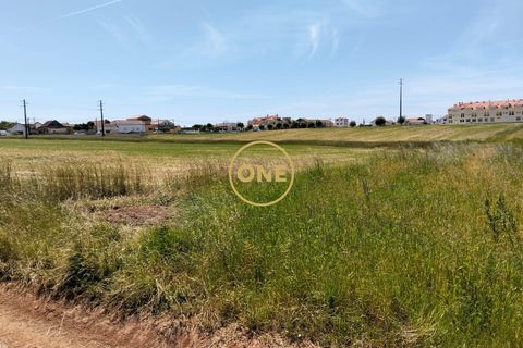 Helårsgrund i Torres Vedras, Lisbon, Torres Vedras - € 3.500.000 | Ref: ONE421719-5 - foto 19
