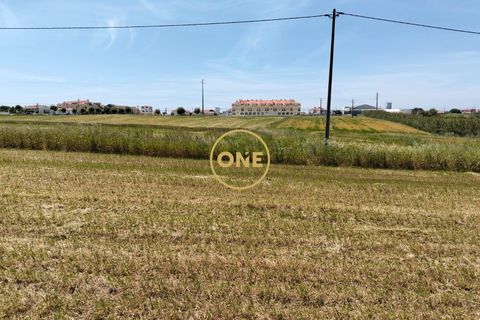 Helårsgrund i Torres Vedras, Lisbon, Torres Vedras - € 3.500.000 | Ref: ONE421719-5 - foto 20