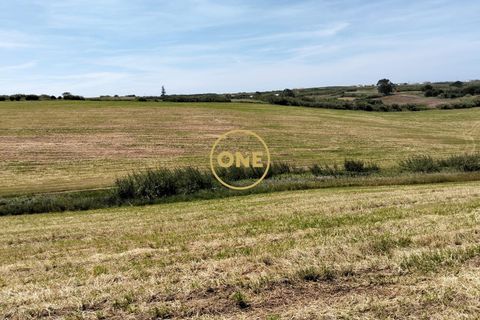 Helårsgrund i Torres Vedras, Lisbon, Torres Vedras - € 3.500.000 | Ref: ONE421719-5 - foto 21