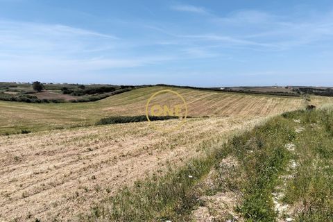 Helårsgrund i Torres Vedras, Lisbon, Torres Vedras - € 3.500.000 | Ref: ONE421719-5 - foto 23