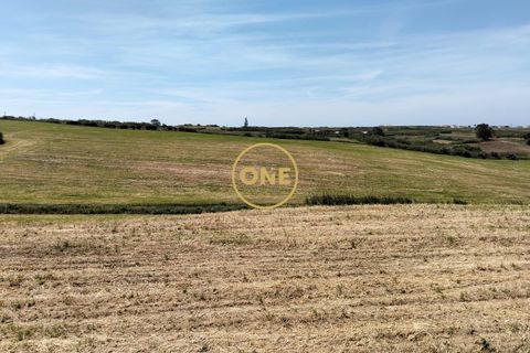 Helårsgrund i Torres Vedras, Lisbon, Torres Vedras - € 3.500.000 | Ref: ONE421719-5 - foto 24