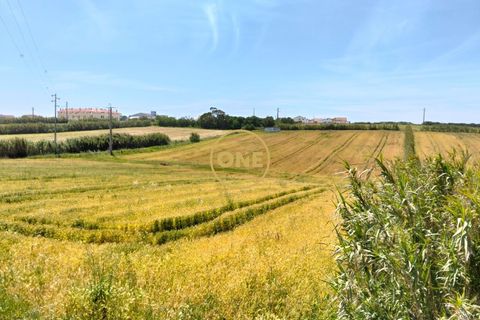 Helårsgrund i Torres Vedras, Lisbon, Torres Vedras - € 3.500.000 | Ref: ONE421719-5 - foto 28