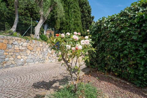 Villa i Bordighera, Imperia, Bordighera - € 2.190.000 | Ref: 317 - foto 43