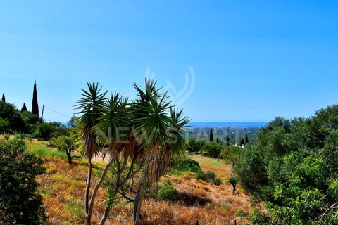 Villa i Estoi, Faro, Estoi - € 995.000 | Ref: 250009 - foto 11