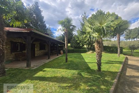 Farm i Dominguizo, Castelo Branco, Dominguizo - € 1.300.000 | Ref: FIN_213RS260325 - foto 1