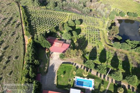 Farm i Dominguizo, Castelo Branco, Dominguizo - € 1.300.000 | Ref: FIN_213RS260325 - foto 5