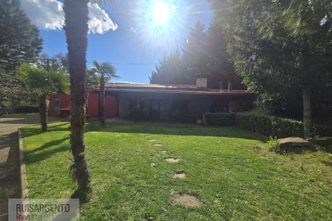 Farm i Dominguizo, Castelo Branco, Dominguizo - € 1.300.000 | Ref: FIN_213RS260325 - foto 7