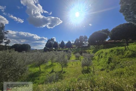Farm i Dominguizo, Castelo Branco, Dominguizo - € 1.300.000 | Ref: FIN_213RS260325 - foto 9