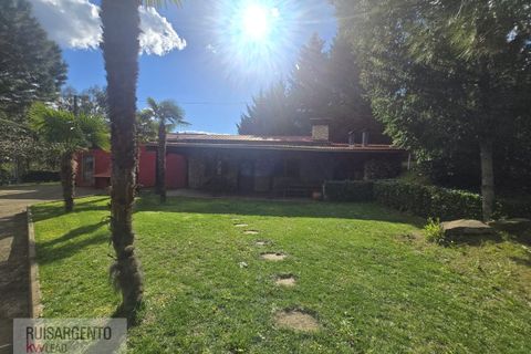 Farm i Dominguizo, Castelo Branco, Dominguizo - € 1.300.000 | Ref: FIN_213RS260325 - foto 10