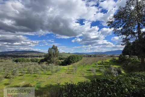 Farm i Dominguizo, Castelo Branco, Dominguizo - € 1.300.000 | Ref: FIN_213RS260325 - foto 16