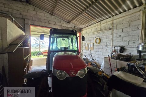 Farm i Dominguizo, Castelo Branco, Dominguizo - € 1.300.000 | Ref: FIN_213RS260325 - foto 18