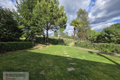 Farm i Dominguizo, Castelo Branco, Dominguizo - € 1.300.000 | Ref: FIN_213RS260325 - foto 19