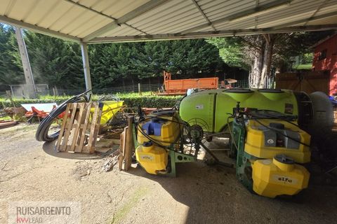 Farm i Dominguizo, Castelo Branco, Dominguizo - € 1.300.000 | Ref: FIN_213RS260325 - foto 20