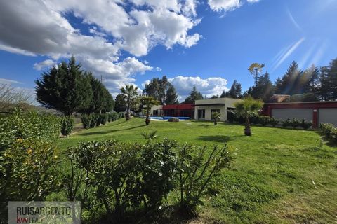 Farm i Dominguizo, Castelo Branco, Dominguizo - € 1.300.000 | Ref: FIN_213RS260325 - foto 22