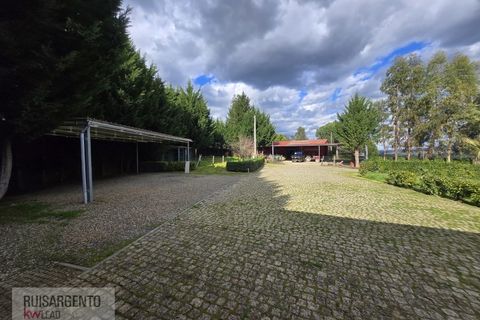Farm i Dominguizo, Castelo Branco, Dominguizo - € 1.300.000 | Ref: FIN_213RS260325 - foto 23