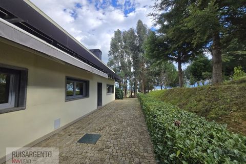 Farm i Dominguizo, Castelo Branco, Dominguizo - € 1.300.000 | Ref: FIN_213RS260325 - foto 36