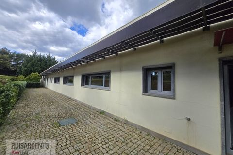 Farm i Dominguizo, Castelo Branco, Dominguizo - € 1.300.000 | Ref: FIN_213RS260325 - foto 38