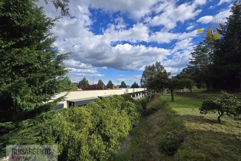 Farm i Dominguizo, Castelo Branco, Dominguizo - € 1.300.000 | Ref: FIN_213RS260325 - foto 43