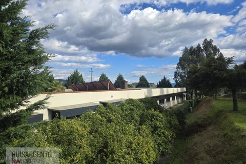 Farm i Dominguizo, Castelo Branco, Dominguizo - € 1.300.000 | Ref: FIN_213RS260325 - foto 45