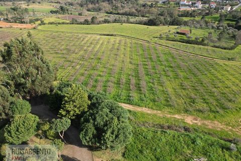 Farm i Dominguizo, Castelo Branco, Dominguizo - € 1.300.000 | Ref: FIN_213RS260325 - foto 46