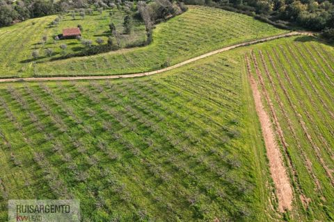 Farm i Dominguizo, Castelo Branco, Dominguizo - € 1.300.000 | Ref: FIN_213RS260325 - foto 48