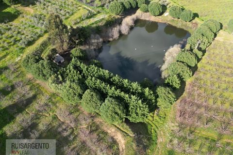 Farm i Dominguizo, Castelo Branco, Dominguizo - € 1.300.000 | Ref: FIN_213RS260325 - foto 50