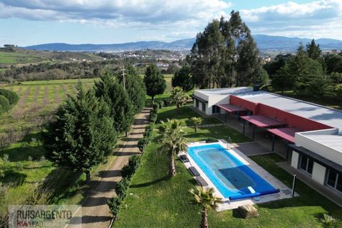 Farm i Dominguizo, Castelo Branco, Dominguizo - € 1.300.000 | Ref: FIN_213RS260325 - foto 2