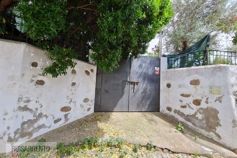 Villa i Monfortinho e Salvaterra do Extremo, Castelo Branco, Monfortinho e Salvaterra do Extremo - € 292.500 | Ref: CAS_185RSKWPT-013342 - foto 9
