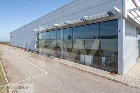Bungalow i Castelo Branco, Castelo Branco, Castelo Branco - € 1.850.000 | Ref: PAV_133RSKWPT-015594 - foto 2