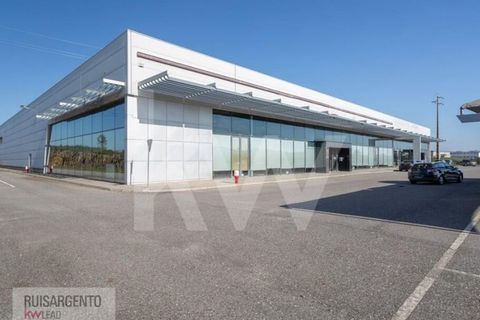 Bungalow i Castelo Branco, Castelo Branco, Castelo Branco - € 1.850.000 | Ref: PAV_133RSKWPT-015594 - foto 3