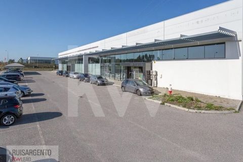 Bungalow i Castelo Branco, Castelo Branco, Castelo Branco - € 1.850.000 | Ref: PAV_133RSKWPT-015594 - foto 4