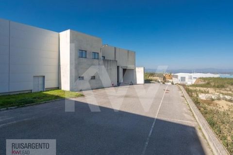 Bungalow i Castelo Branco, Castelo Branco, Castelo Branco - € 1.850.000 | Ref: PAV_133RSKWPT-015594 - foto 5