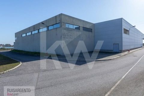 Bungalow i Castelo Branco, Castelo Branco, Castelo Branco - € 1.850.000 | Ref: PAV_133RSKWPT-015594 - foto 6