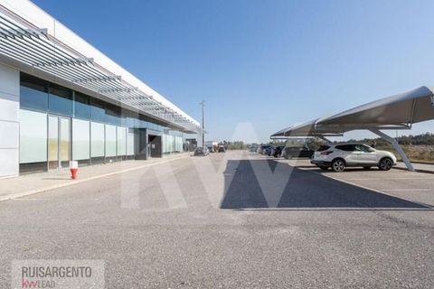 Bungalow i Castelo Branco, Castelo Branco, Castelo Branco - € 1.850.000 | Ref: PAV_133RSKWPT-015594 - foto 9