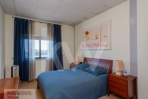 Bungalow i Castelo Branco, Castelo Branco, Castelo Branco - € 1.850.000 | Ref: PAV_133RSKWPT-015594 - foto 22