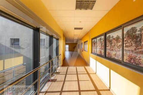 Bungalow i Castelo Branco, Castelo Branco, Castelo Branco - € 1.850.000 | Ref: PAV_133RSKWPT-015594 - foto 31